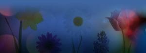 blue background with bright flowers