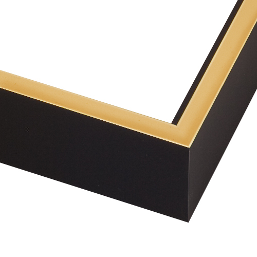 Black & Gold Floater Frame