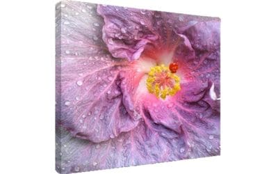 Digital Photo Printing to Canvas – Turn Photos into Art