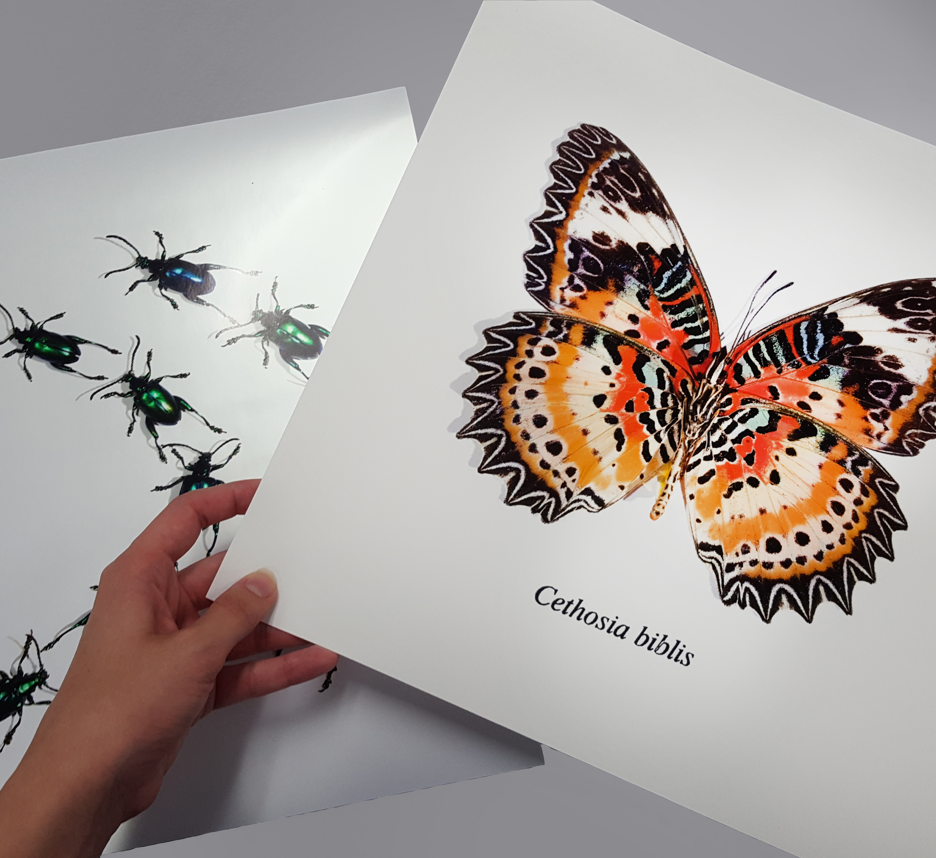 Giclee Paper Prints By Canvas Giclee Printing