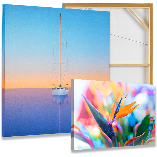 Ontbering Makkelijk in de omgang koepel Canvas Printing for Artists & Photographers by Canvas Giclee Printing