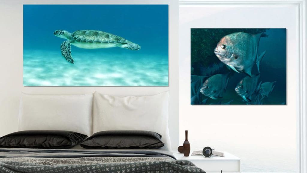 Printing on Canvas Underwater Print Art